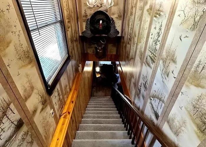 Rustic, Pet Friendly Near East Fork Lake, Olney, Illinois *
