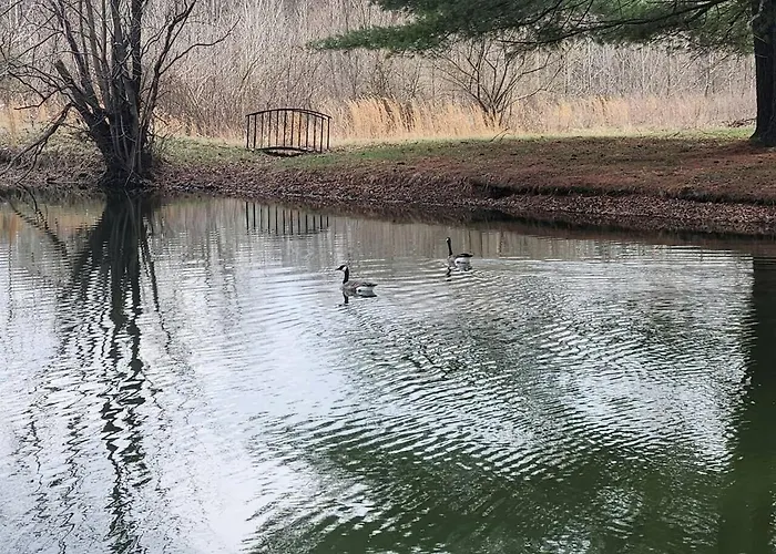 Rustic, Pet Friendly Near East Fork Lake, Olney, Illinois