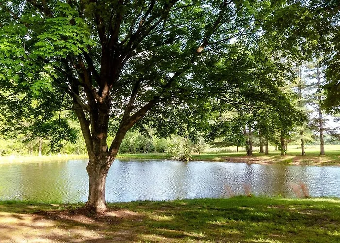 Rustic, Pet Friendly Near East Fork Lake, Olney, Illinois Olney
